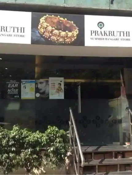 Megh Retail Space- Adyar